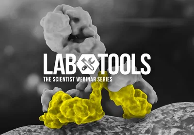 Affinity versus Avidity: Differentiating Between Binding Phenomena &nbsp;